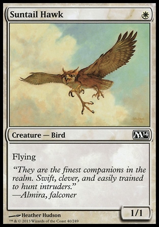Magic: 2014 Core Set 040: Suntail Hawk 