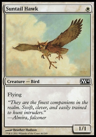 MTG: 2014 Core Set 040: Suntail Hawk 