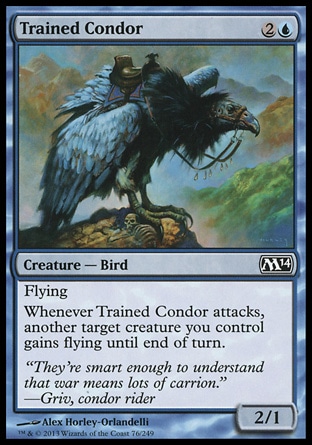 Magic: 2014 Core Set 076: Trained Condor 
