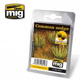 AMMO Laser Cut Plants: Common Sedge 