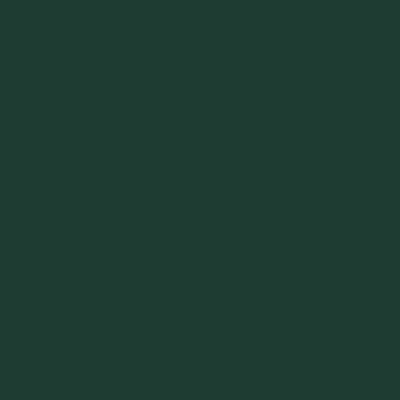Minitaire Airbrush Paint: Dark Green 
