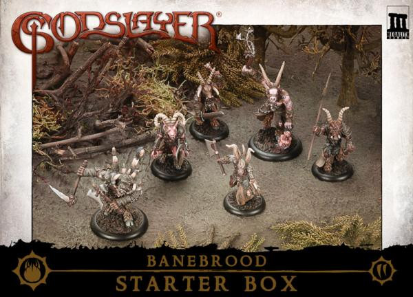 Godslayer: Banebrood Starter Box (SALE) 