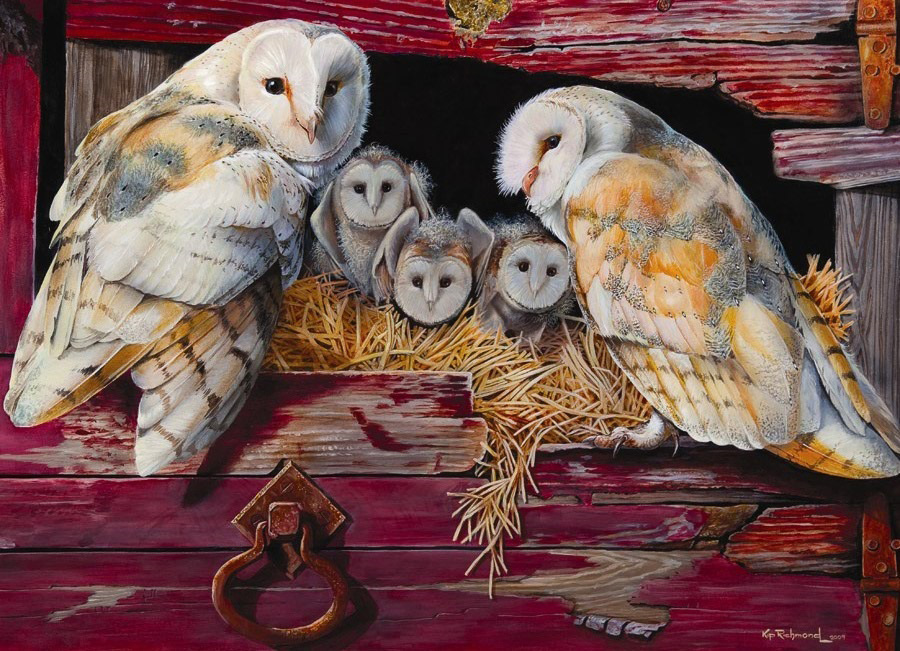 Cobble Hill Puzzles (1000): Barn Owls 