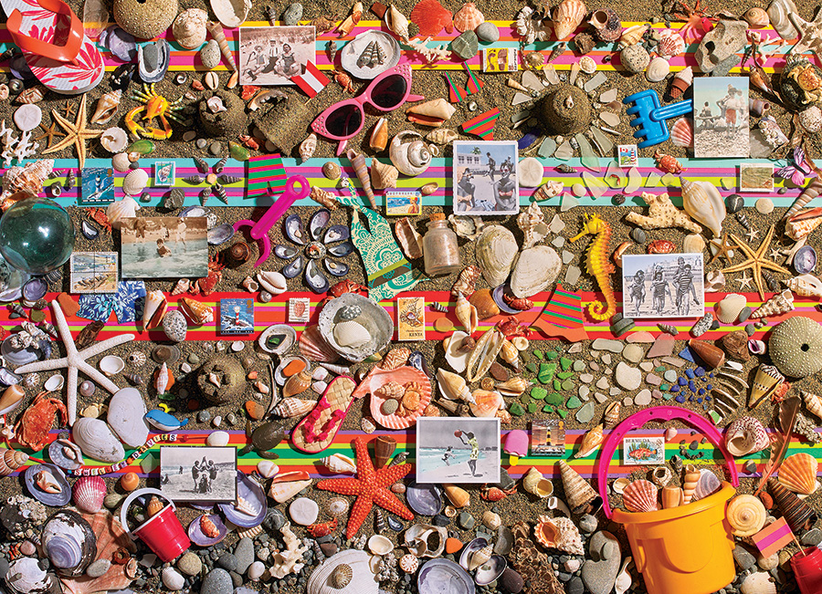 Cobble Hill Puzzles (1000): Beach Scene 
