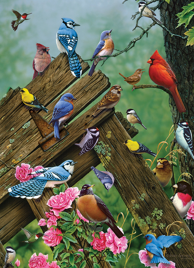 Cobble Hill Puzzles (1000): Birds of the Forest 