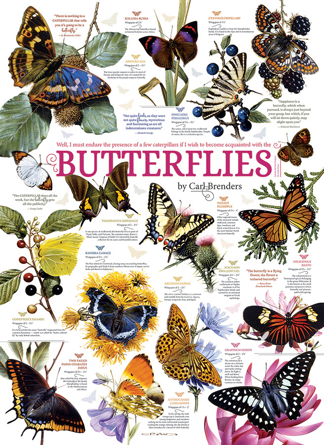 Cobble Hill Puzzles (1000): Butterfly Collection 