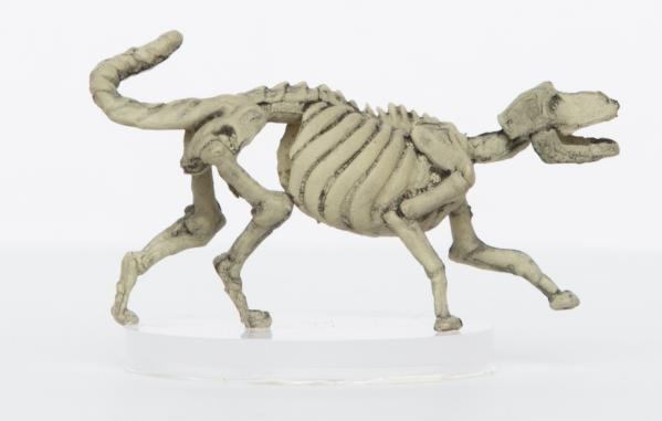 Characters of Adventure- Fantasy: Skeleton Wolf 