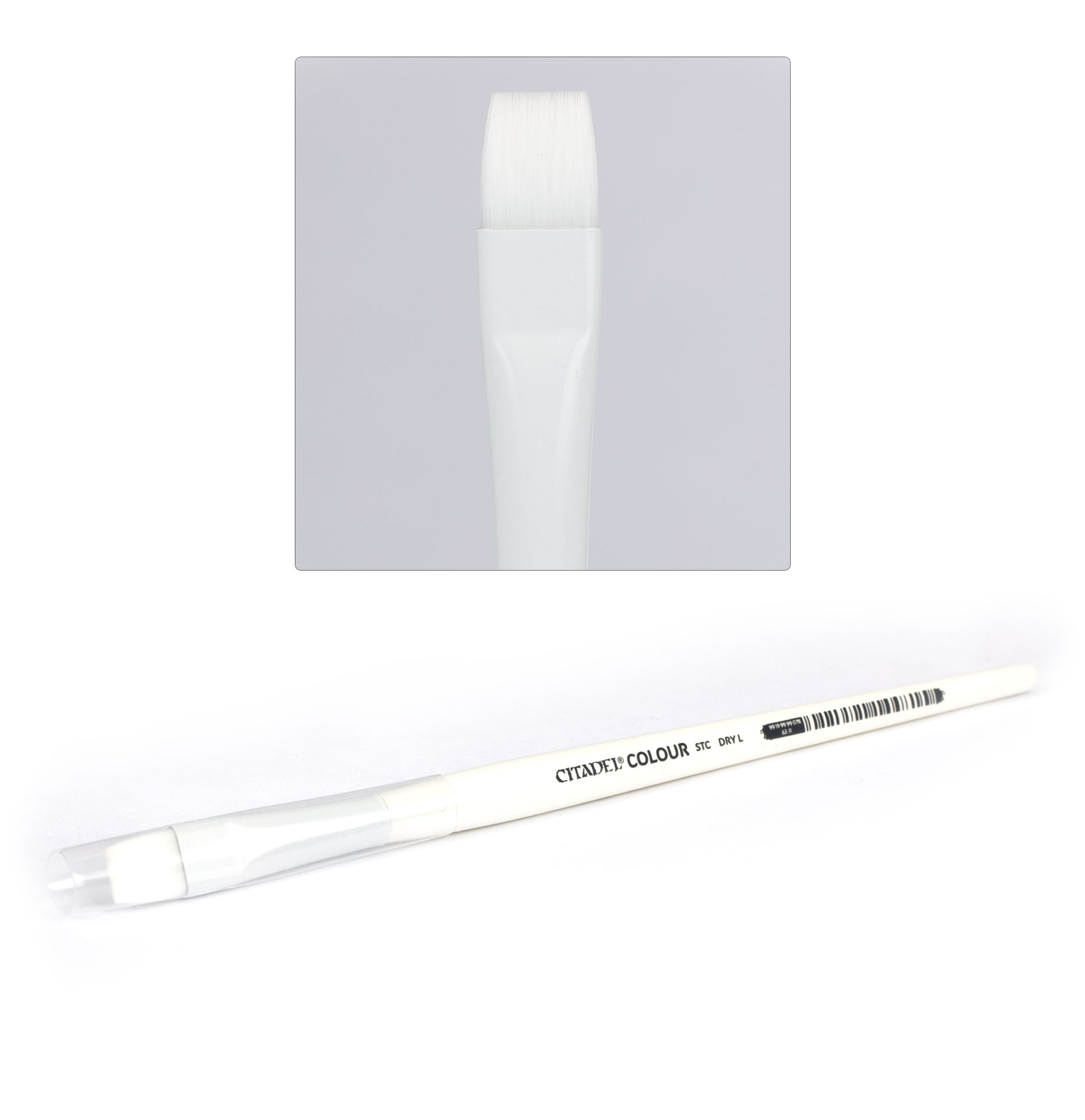 Citadel: STC Brush: Dry L 