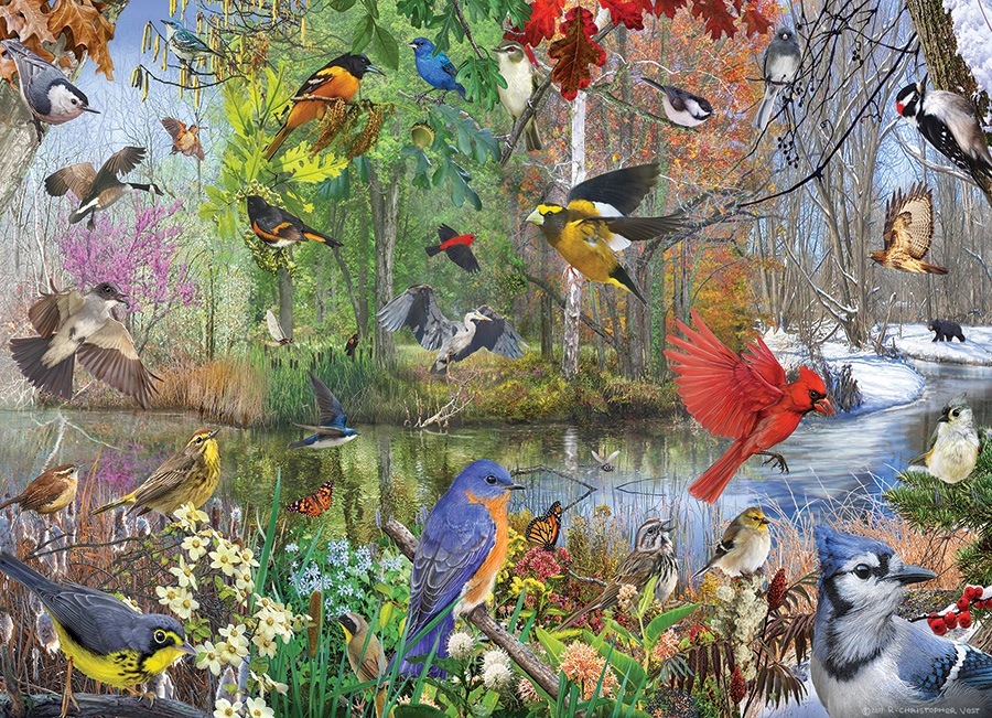 Cobble Hill Puzzles (1000): Birds of the Season 