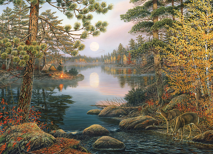 Cobble Hill Puzzles (1000): Deer Lake 