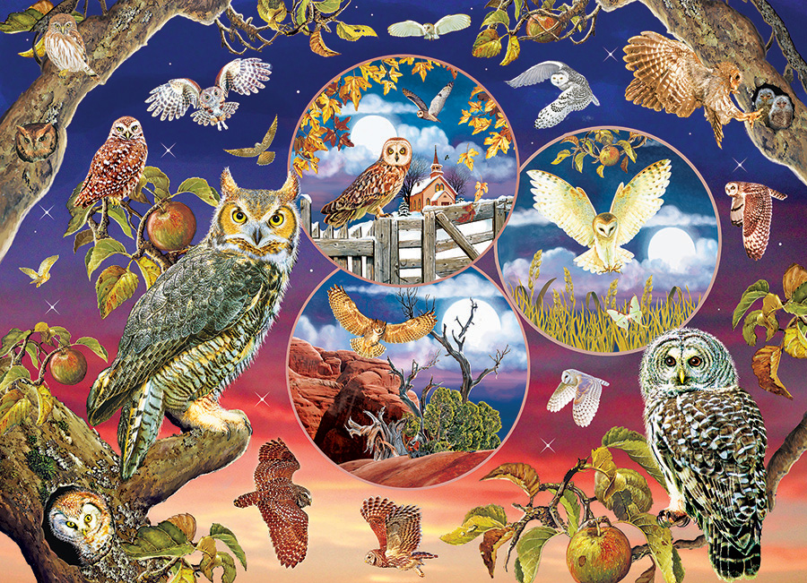 Cobble Hill Puzzles (1000): Owl Magic 