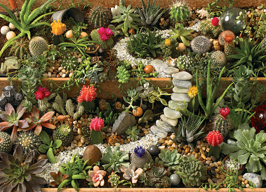Cobble Hill Puzzles (1000): Succulent Garden 