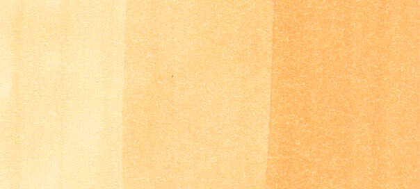 Copic Sketch: Barley Beige 