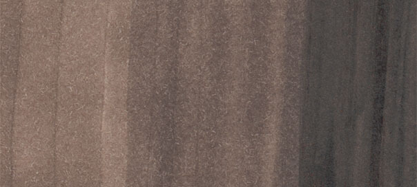 Copic Sketch: Dark Bark 