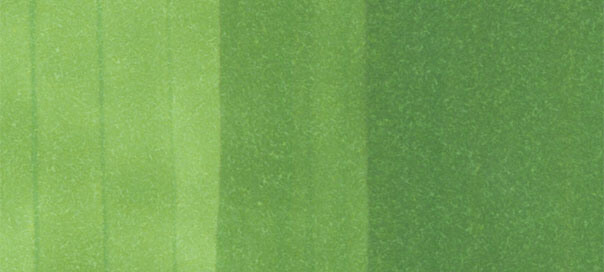 Copic Sketch: Grass Green 