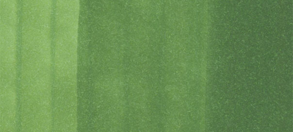 Copic Sketch: Moss 