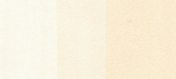 Copic Sketch: Pale Chiffon 