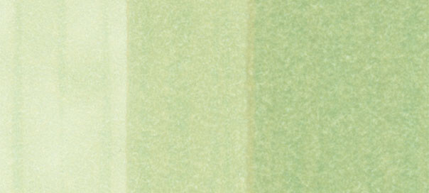 Copic Sketch: Pale Moss 