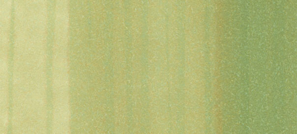 Copic Sketch: Spring Dim Green 