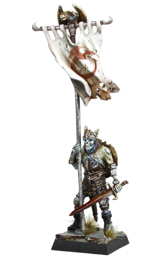 Darklands: Cynuise of Old, Barrow Knight Banner Bearer 