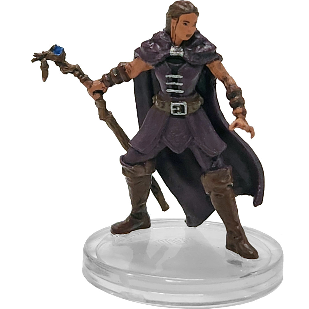 D&D Icons of the Realms 28: Seas and Shores: #11 Druid (C) 