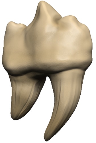 D&D Icons of the Realms: Teeth Of Dahlver-Nar Bite-Sized Artifact  