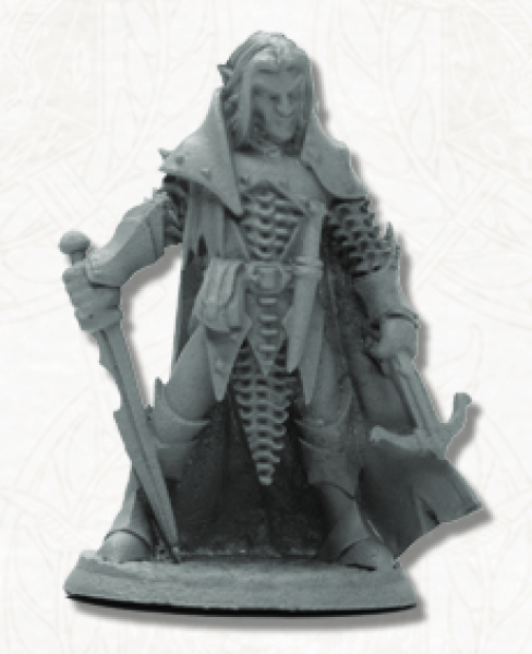 Dark Heaven Legends: Dark Elf Male Warrior 