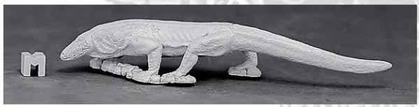 Dark Heaven Legends: Komodo Dragon 