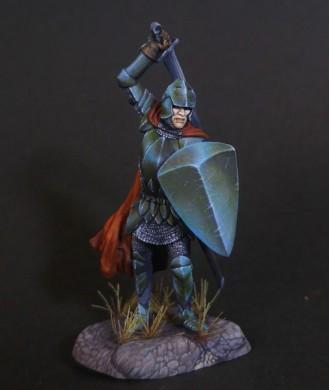 Dark Sword Miniatures: Visions in Fantasy: Male Warrior with Sword and Shield 