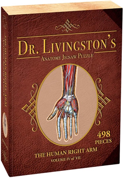 Dr. Livingstons Anatomy Puzzle: Human Right Arm (478pcs) 