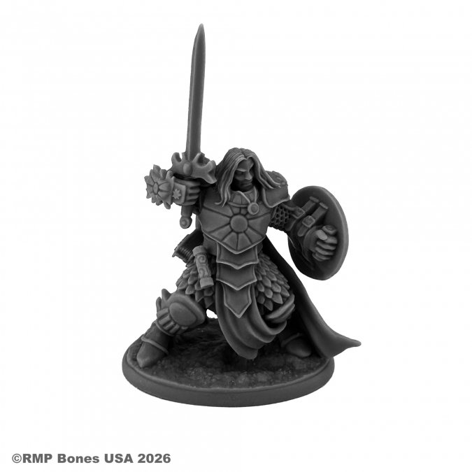 Dungeon Dwellers: Ansel, Paladin 