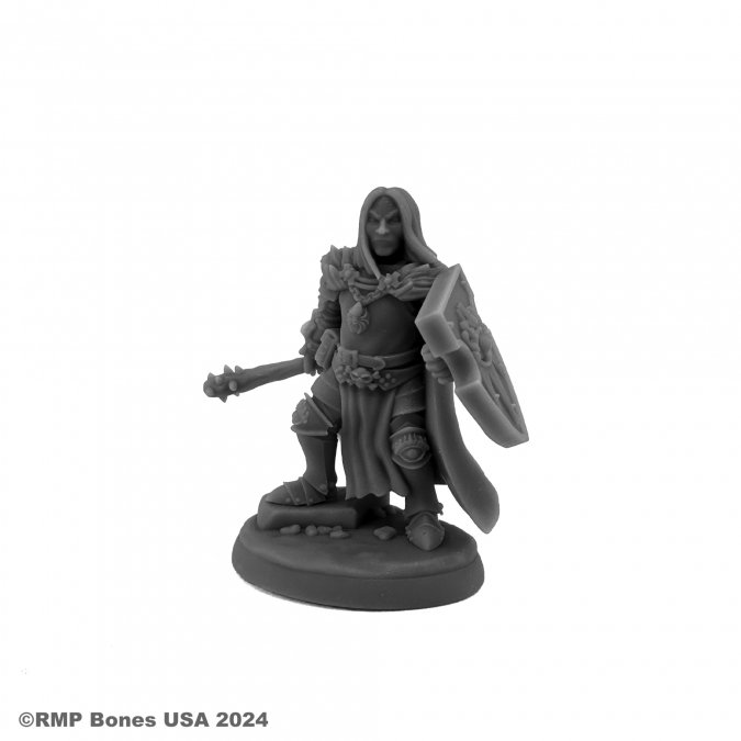 Dungeon Dwellers: Ascarleth, Evil Cleric 