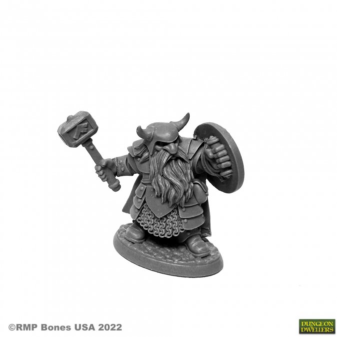 Dungeon Dwellers: Borin Ironbrow, Dwarf 