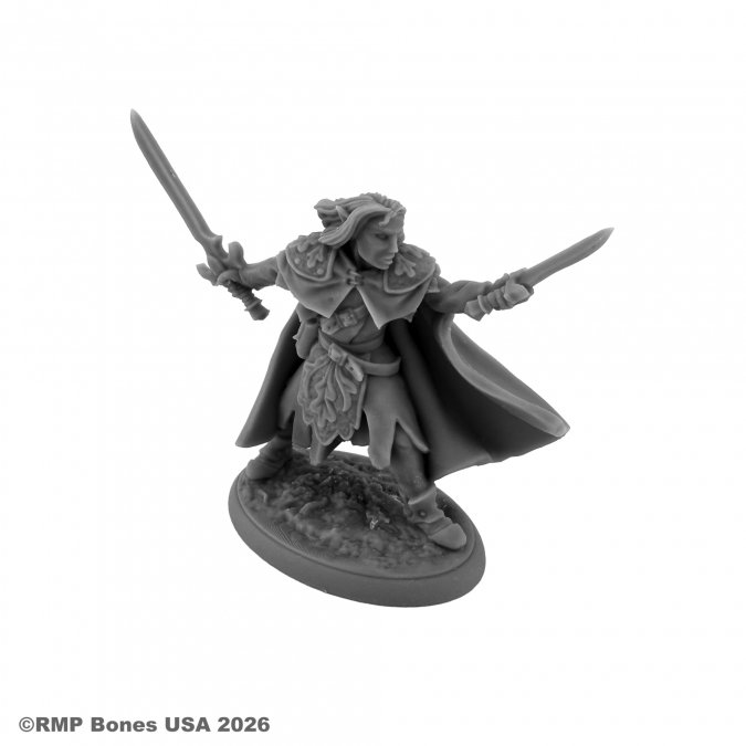 Dungeon Dwellers: Elladan, Elf Ranger 