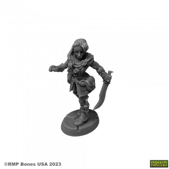 Dungeon Dwellers: Emrul Gozgul, Half-Orc Rogue 