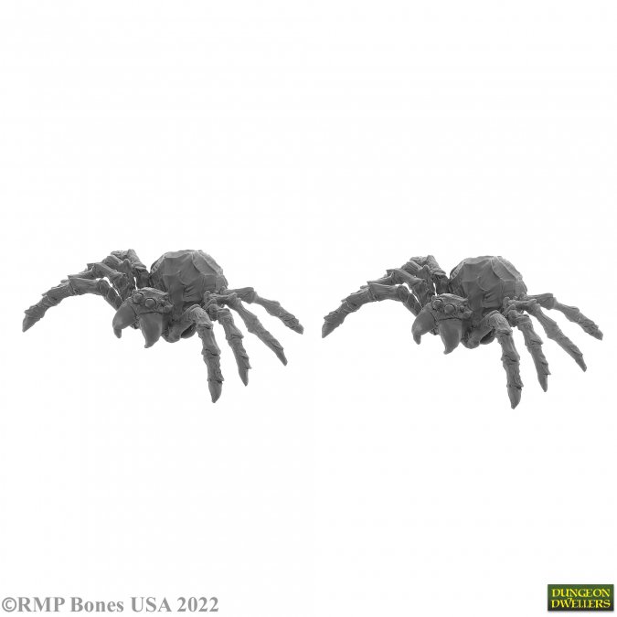 Dungeon Dwellers: Giant Spider 