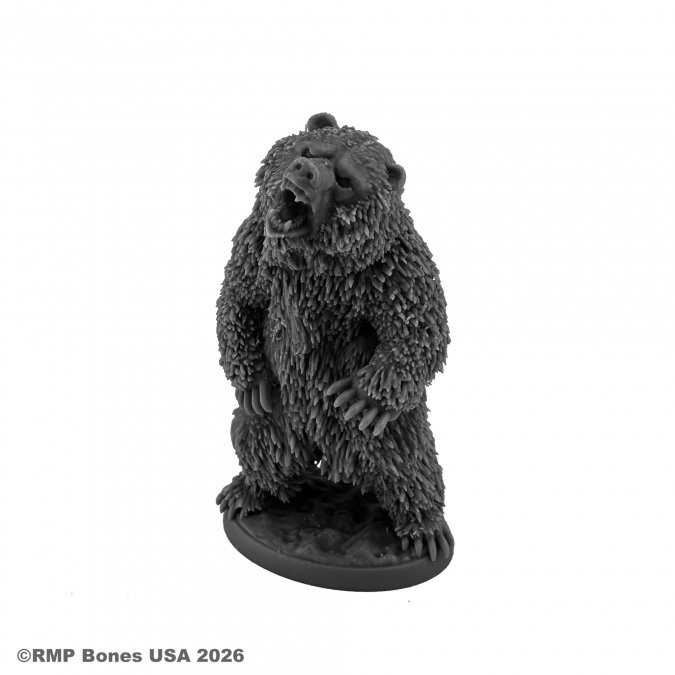 Dungeon Dwellers: Grizzly Bear 