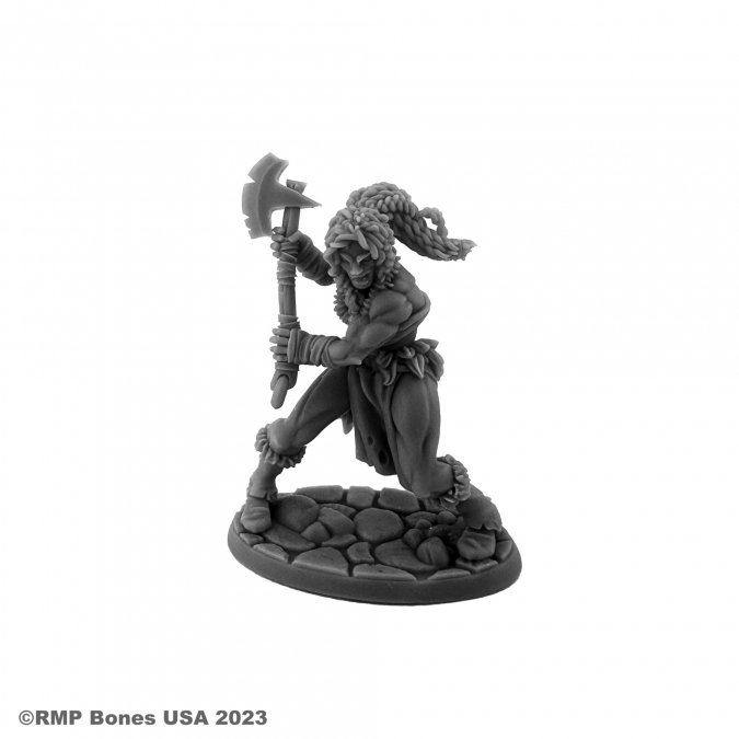 Dungeon Dwellers: Hyborian Heroine 