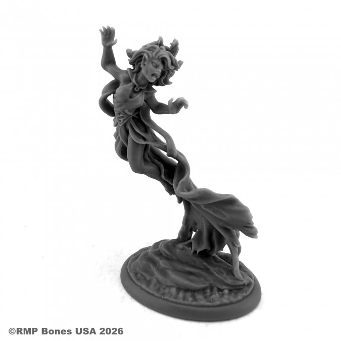 Dungeon Dwellers: Labella Demornay, Banshee 