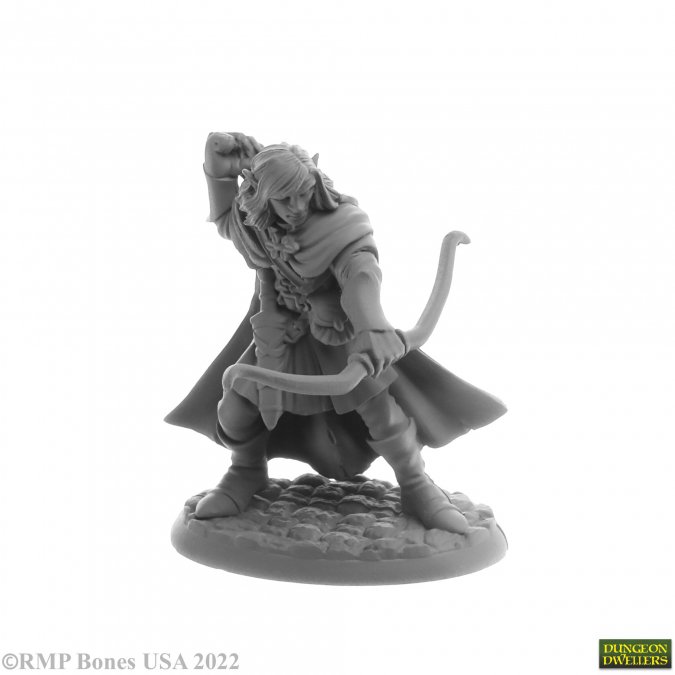 Dungeon Dwellers: Lanaerel Grayleaf, Elf Ranger 