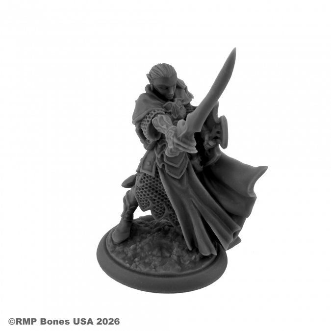 Dungeon Dwellers: Loryn Stormblade Elf Fighter 