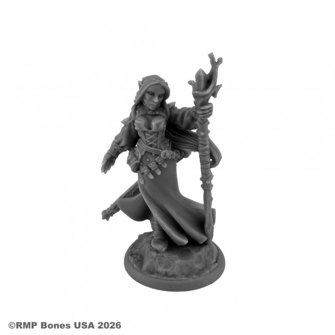 Dungeon Dwellers: Lysette, Elf Wizard 