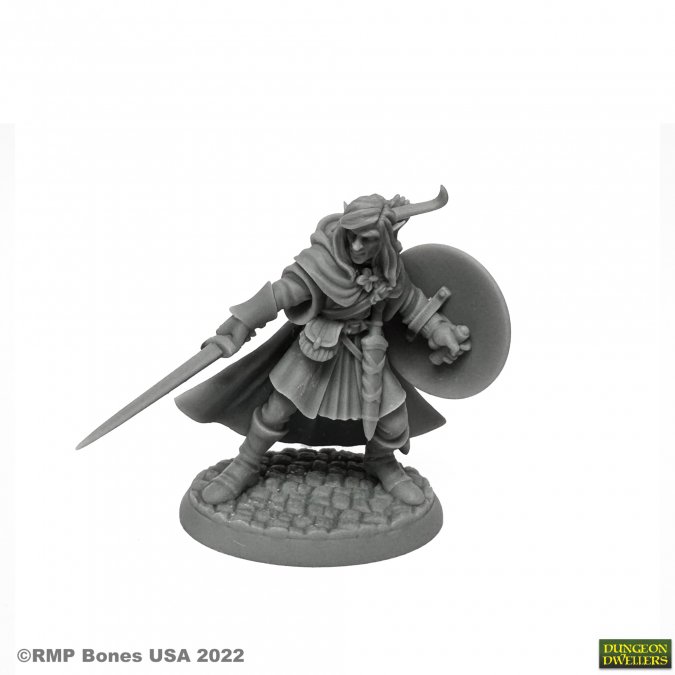 Dungeon Dwellers: Mellonir Windrunner, Elf Warrior 