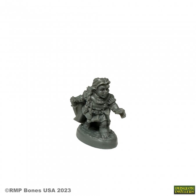 Dungeon Dwellers: Molly Copperpot, Thief Halfling Rogue 