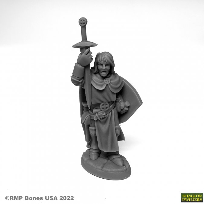 Dungeon Dwellers: Sir Danarel the Holy 