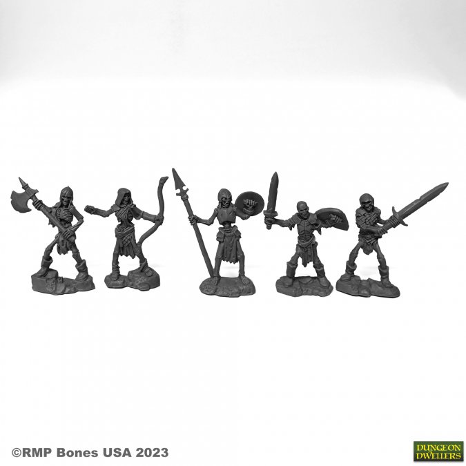 Dungeon Dwellers: Skeleton Guardians 