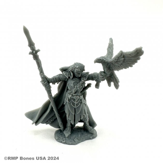 Dungeon Dwellers: Wood Elf King 