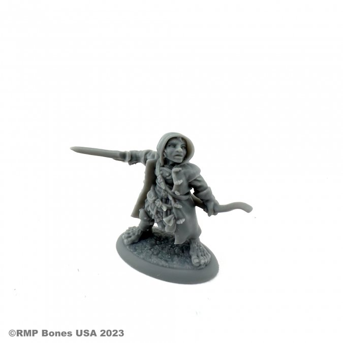Dungeon Dwellers: Woody Stumpwimple, Halfling Ranger 