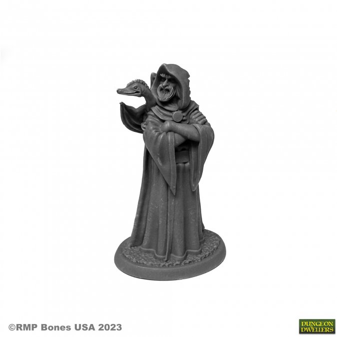 Dungeon Dwellers: Zenfis Zadar, Wizard 