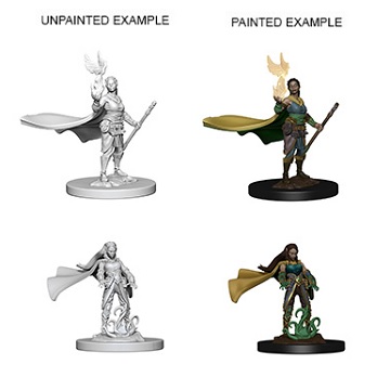 Dungeons & Dragons Nolzur’s Marvelous Miniatures: Elf Druid (Female) 